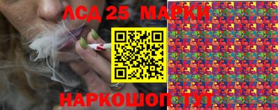 молекула духа Будённовск