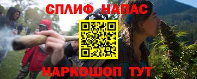 молекула духа Будённовск