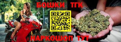 молекула духа Будённовск