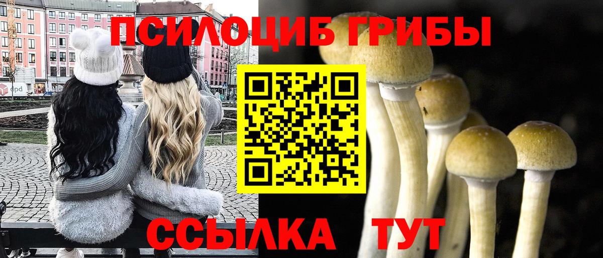 Псилоцибиновые грибы Magic Shrooms  Вход с VPN  Псилоцибиновые грибы ЛСД  Нижнекамск 