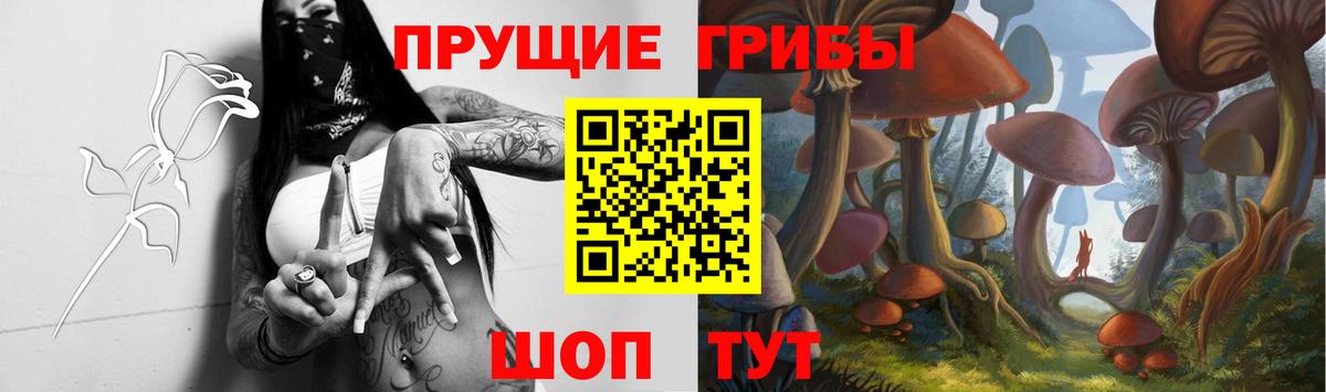 Псилоцибиновые грибы мицелий Нижнекамск